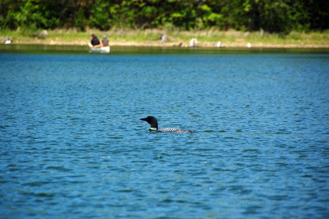 DSC_3656_A.jpg