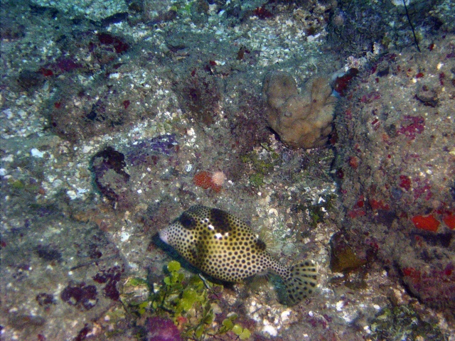 JONES_R0012958_1.jpg