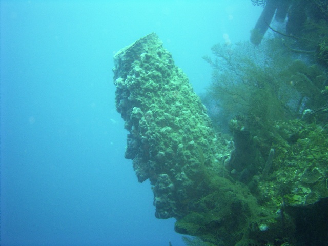 JONES_R0012966.JPG