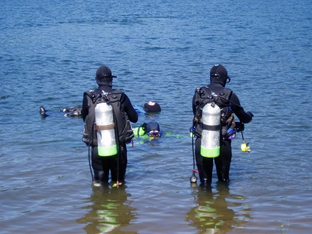 perch16.jpg