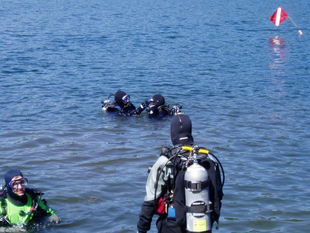 perch22.jpg