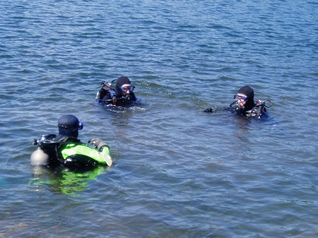 perch24.jpg