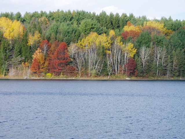 PA230004.JPG