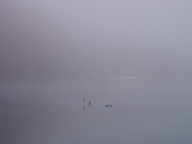 PA240002.JPG