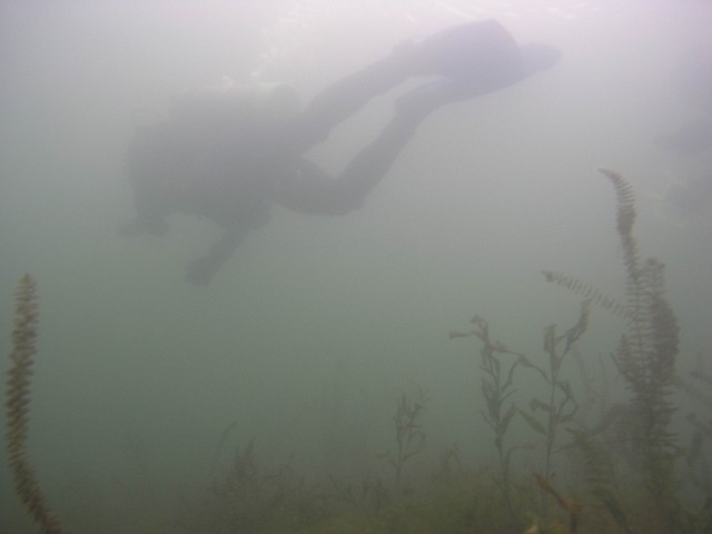 PA312158.jpg