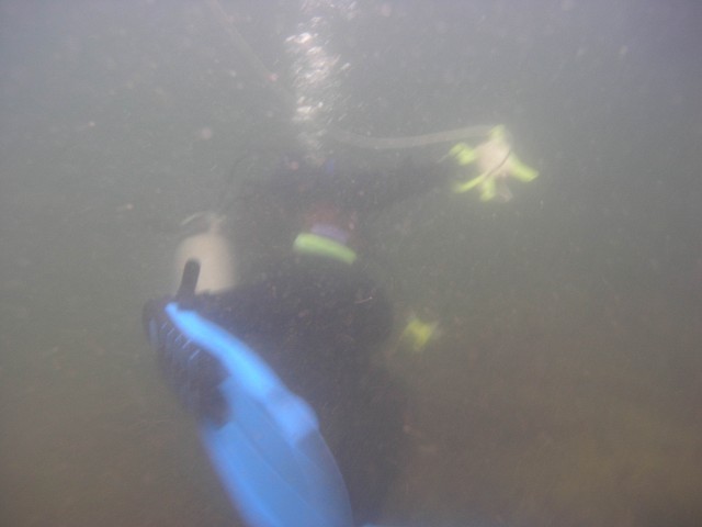 PA312164.jpg