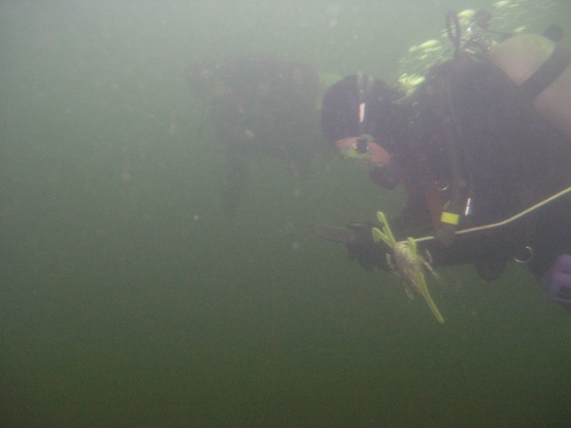 PA312177.jpg
