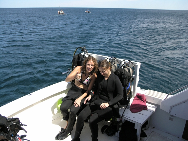 MN20051041.JPG