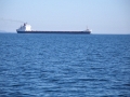 P8230418