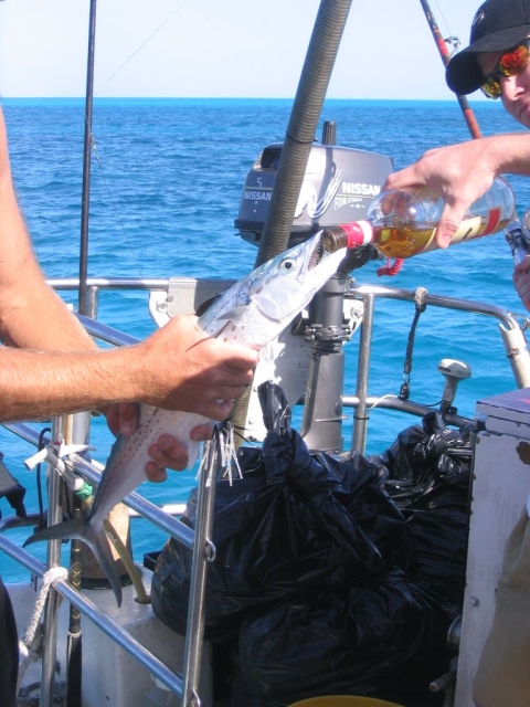Bahamas_029.jpg