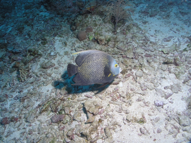 P5171323.jpg