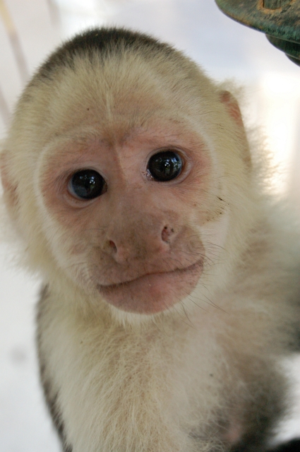 Roatan_D2_DSC_0096M.JPG