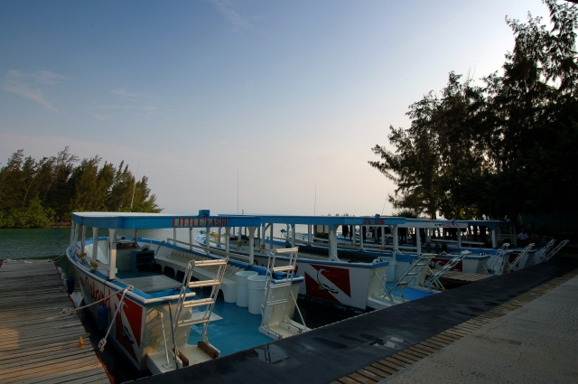 Roatan_D2_DSC_0114_E1.jpg