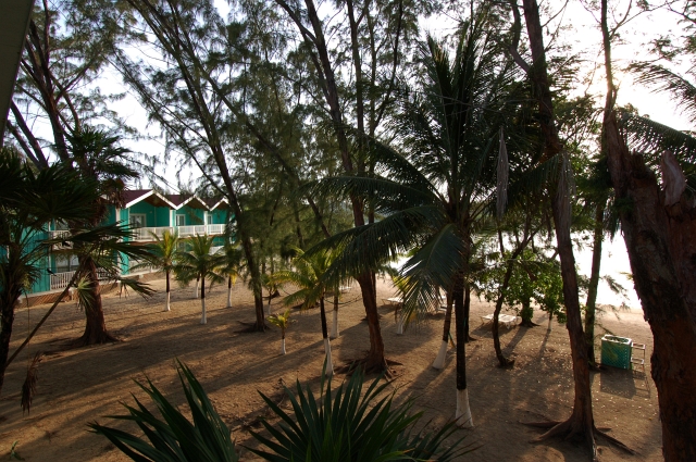 Roatan_DSC_0058_1.jpg
