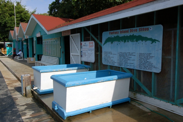 Roatan_DSC_0099_E1.jpg